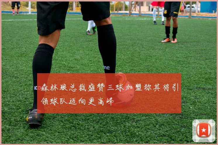 森林狼总裁盛赞三球加盟称其将引领球队迈向更高峰