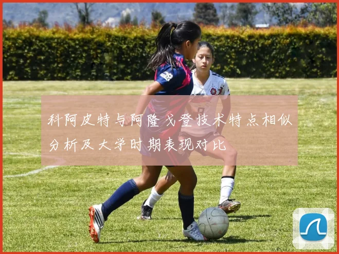 科阿皮特与阿隆戈登技术特点相似分析及大学时期表现对比
